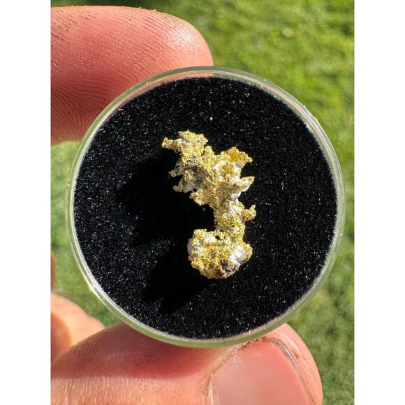 California Native Gold Crystal - 0.83 grams - Picture 2 of 9